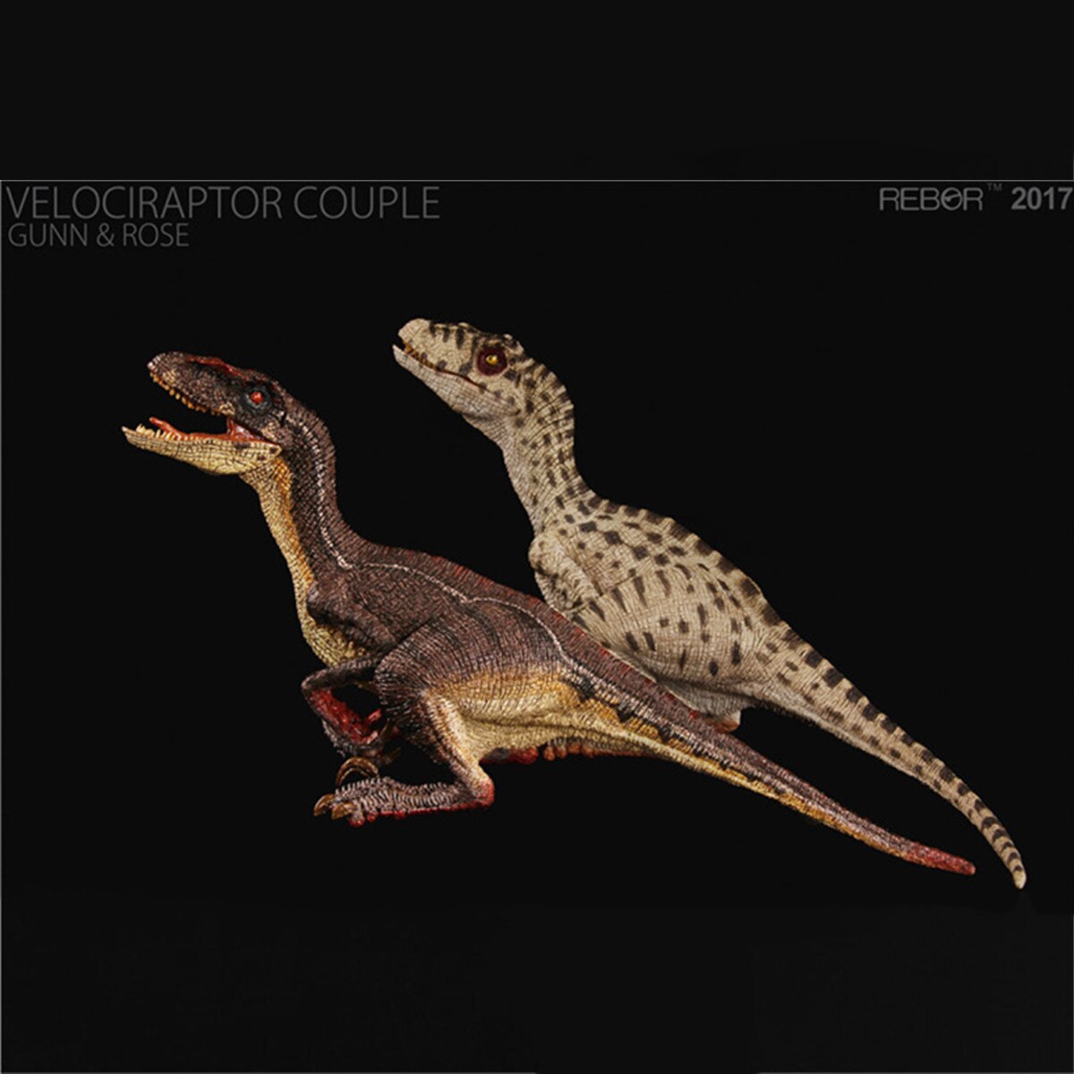 REBOR Velociraptor Ŀ GUNN &  ׸ rapt..